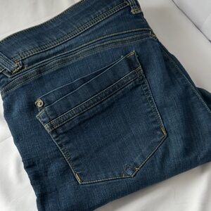 Democracy Indigo Women's Skinny Jeans